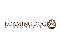 Roaming Dog Photograph